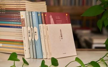 会议暨工作总结参考8篇