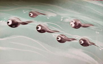 关于小蝌蚪的教案精选7篇