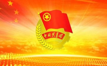 团100年心得体会模板8篇