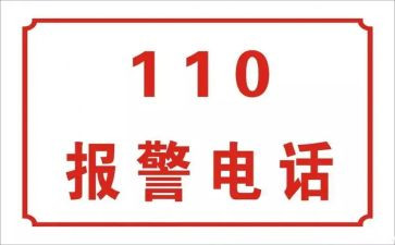 110宣传活动的总结模板7篇