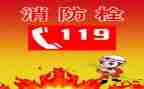 我与119的作文参考6篇