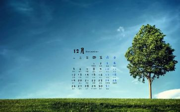 12月商场工作总结5篇