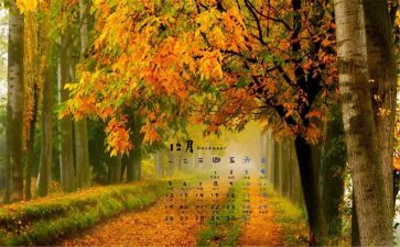 12月护士节活动总结7篇