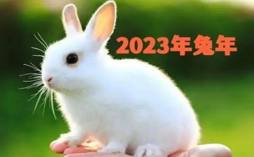 2023出纳人员工作总结8篇