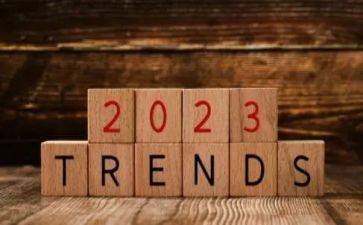 2023年派出所长工作总结5篇