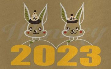 2023年社区健康工作计划精选6篇