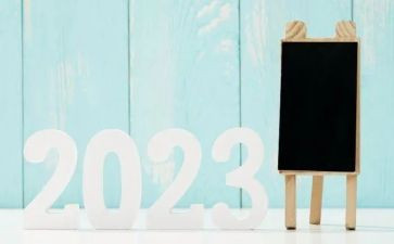 2023年平安建设宣传月活动总结7篇