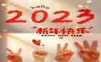 2023年度党员发展工作计划7篇