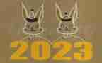 2023学生军训心得体会优质7篇
