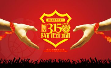315晚会工作总结通用7篇