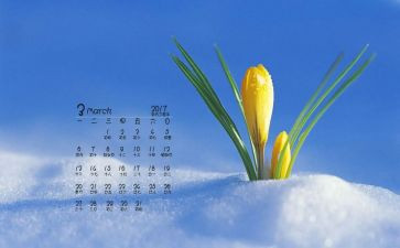 酒店3月份工作计划7篇