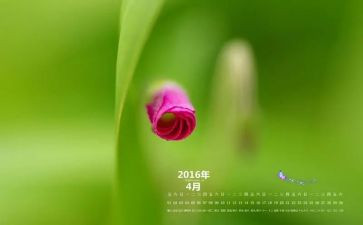 4月份小班工作总结5篇