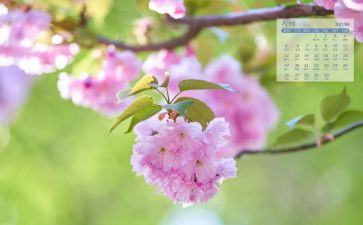 4月伤工作总结6篇