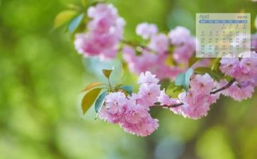 幼儿园2024年4月工作总结6篇