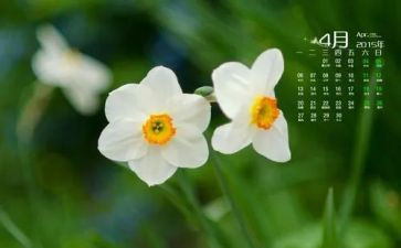 4月伤工作总结精选7篇