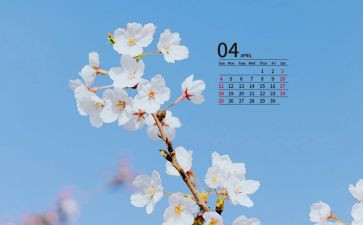 村4月份安全生产工作总结5篇