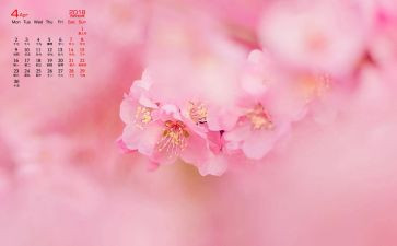 4月伤工作总结模板8篇