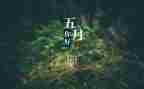 工作总结5月总结推荐6篇