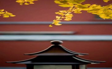 8月份个人总结8篇