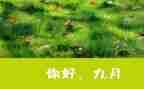 19月份工作总结5篇