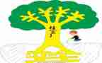 安全员心得体会300字6篇