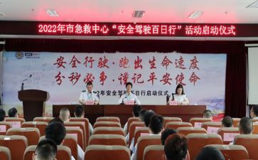 百日行动专项整治工作总结5篇
