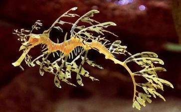 生物实验教学培训心得5篇