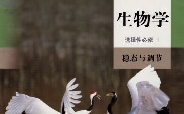 生物备课组学期工作计划8篇