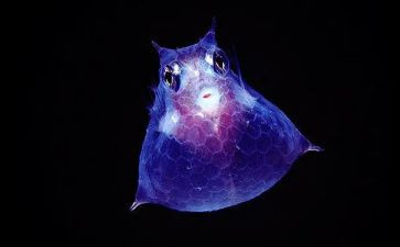 生物选修三工作计划5篇