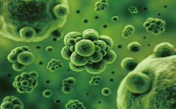 生物教师听课心得体会6篇