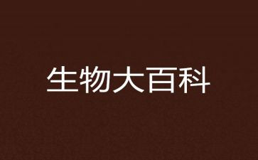 生物教师个人述职报告8篇