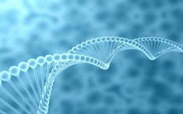 初中生物教研计划8篇