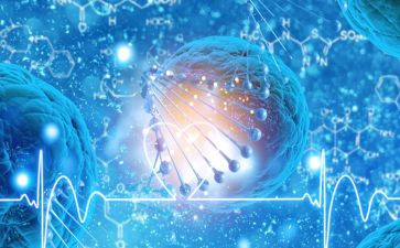 生物研修心得体会5篇
