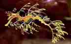 生物实验教学培训心得5篇