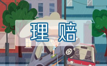 保险公司个人年终总结精选8篇