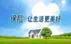 保险公司个人年终总结推荐8篇