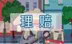 保险公司个人年终总结精选8篇