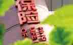 2023保险公司工作总结推荐5篇