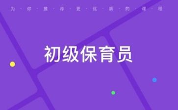保育半年工作总结8篇