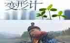 我变形记作文400字作文5篇