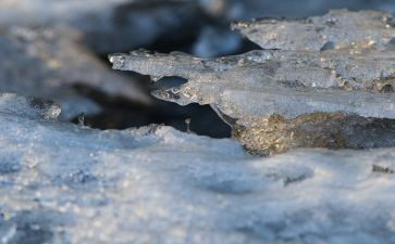 冰心的《笑》读后感5篇