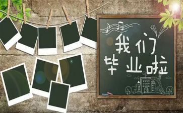 毕设项目工作总结优质8篇