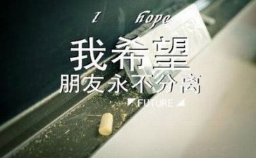 实习生毕业自我鉴定5篇