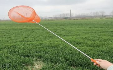 捕捉春天作文8篇