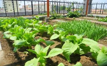湘菜活动方案策划模板7篇