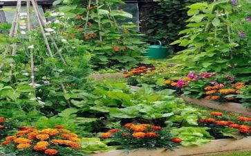 湘菜活动方案策划7篇