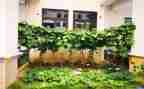湘菜活动方案策划精选5篇