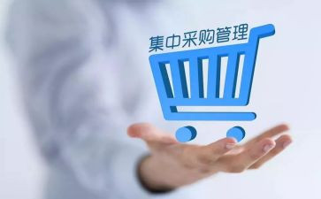 采购组工作总结7篇