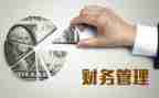 干财务工作的心得体会模板6篇