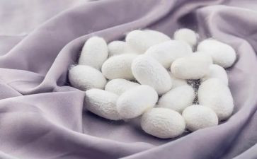 幼儿园蚕语言教案优秀8篇